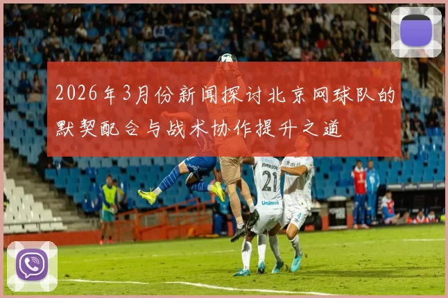 2026年3月份新闻探讨北京网球队的默契配合与战术协作提升之道