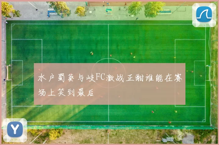 水户蜀葵与岐FC激战正酣谁能在赛场上笑到最后